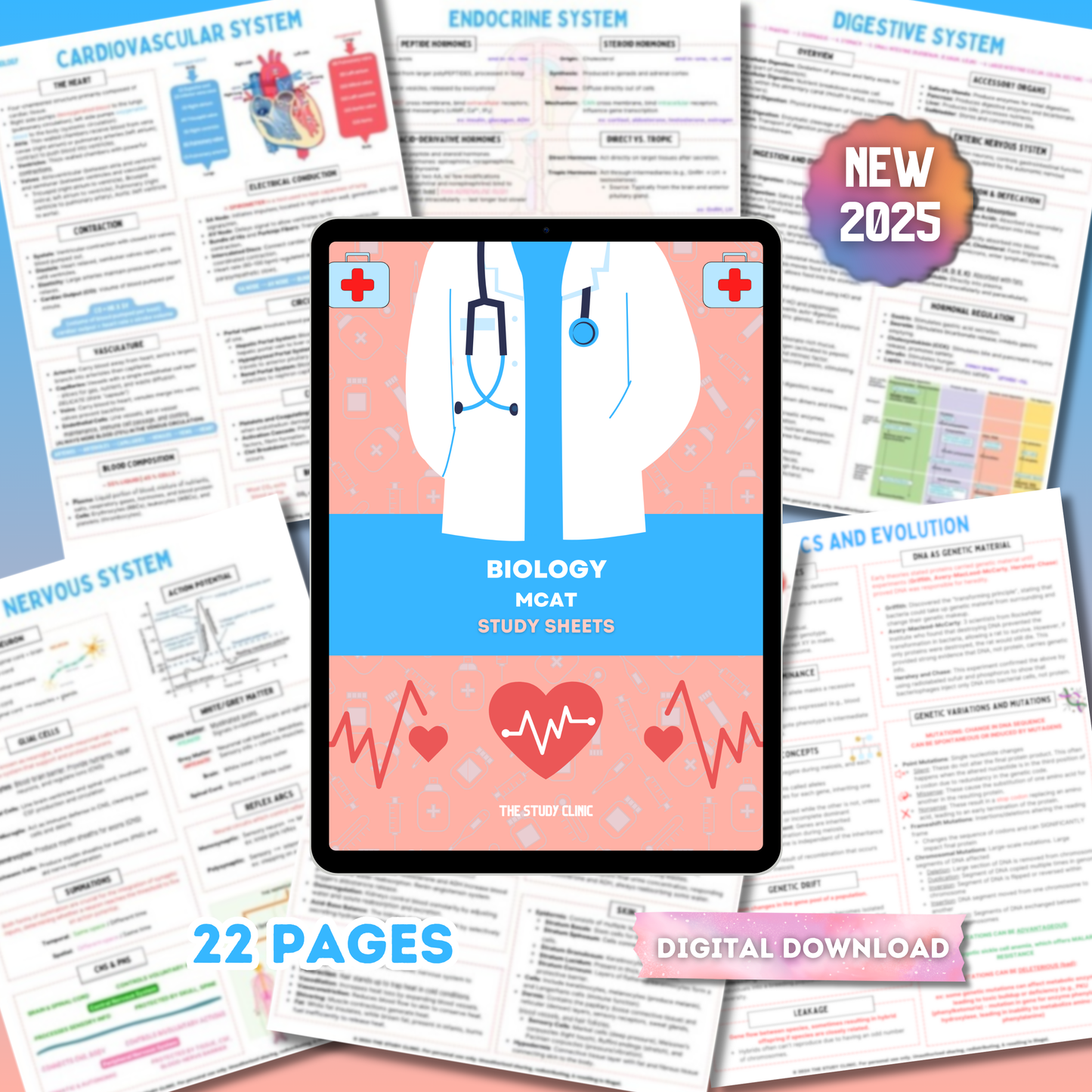 MCAT Biology Study Guide | 22 Pages | Study Cheat Sheets | Pre-Med | Digital Download
