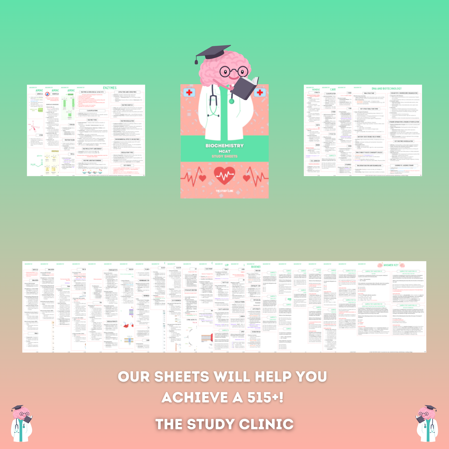 MCAT Biochemistry Study Guide | 31 Pages | Study Cheat Sheets | Pre-Med | Digital Download