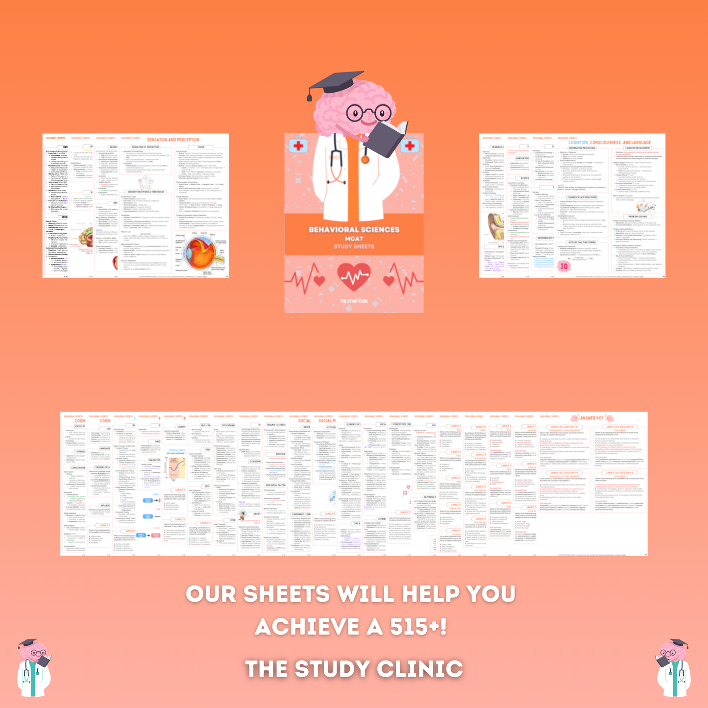 MCAT Behavioral Sciences Study Guide | 30 Pages | Study Cheat Sheets | Pre-Med | Digital Download