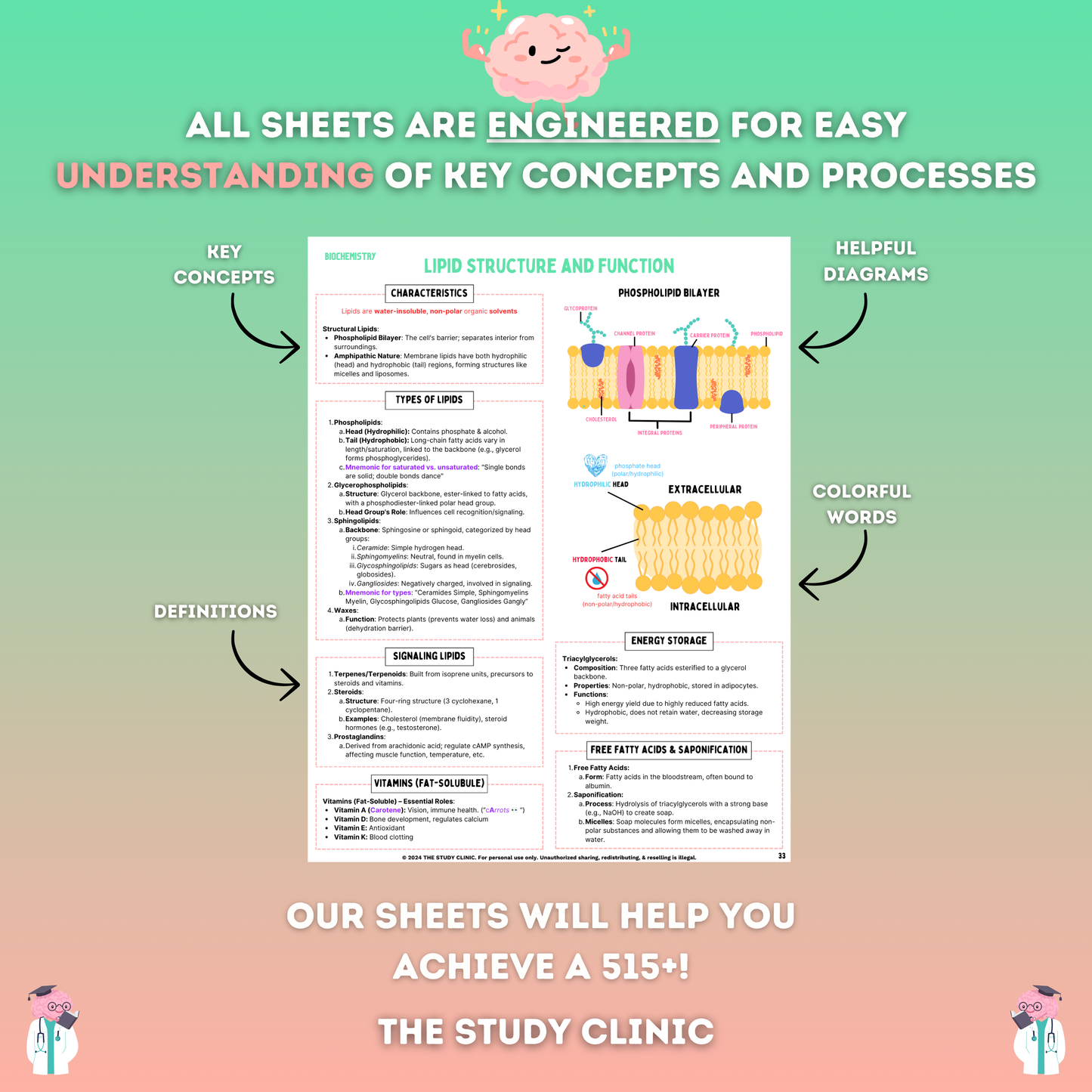 MCAT Biochemistry Study Guide | 31 Pages | Study Cheat Sheets | Pre-Med | Digital Download