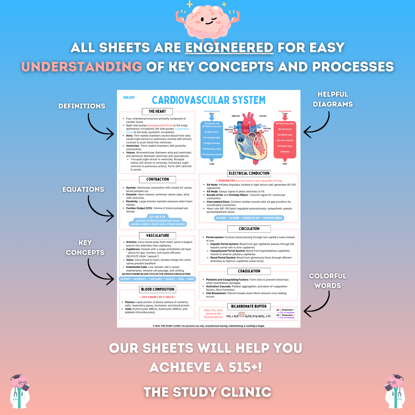MCAT Biology Study Guide | 22 Pages | Study Cheat Sheets | Pre-Med | Digital Download