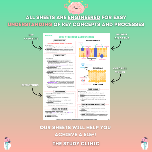 MCAT Biochemistry Study Sheets